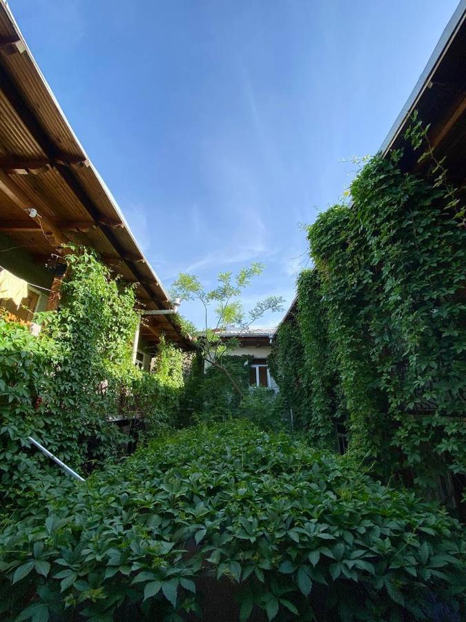 Hotel Rahmon Samarkand Exteriör bild
