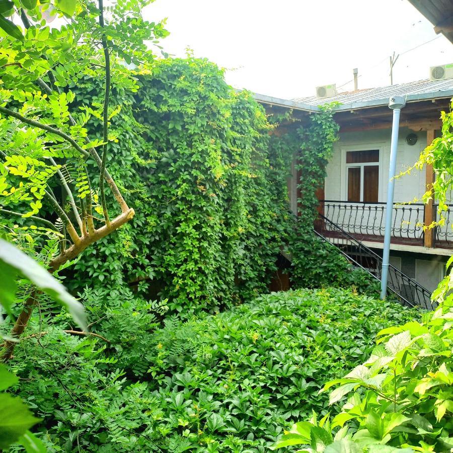 Hotel Rahmon Samarkand Exteriör bild